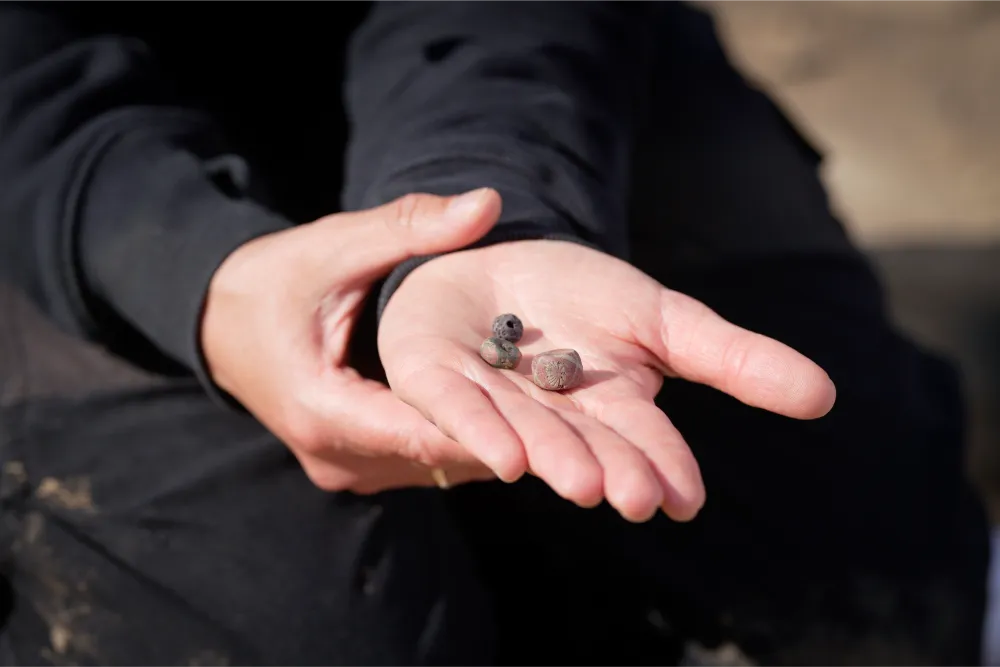 Udgravning Lisbjerg79