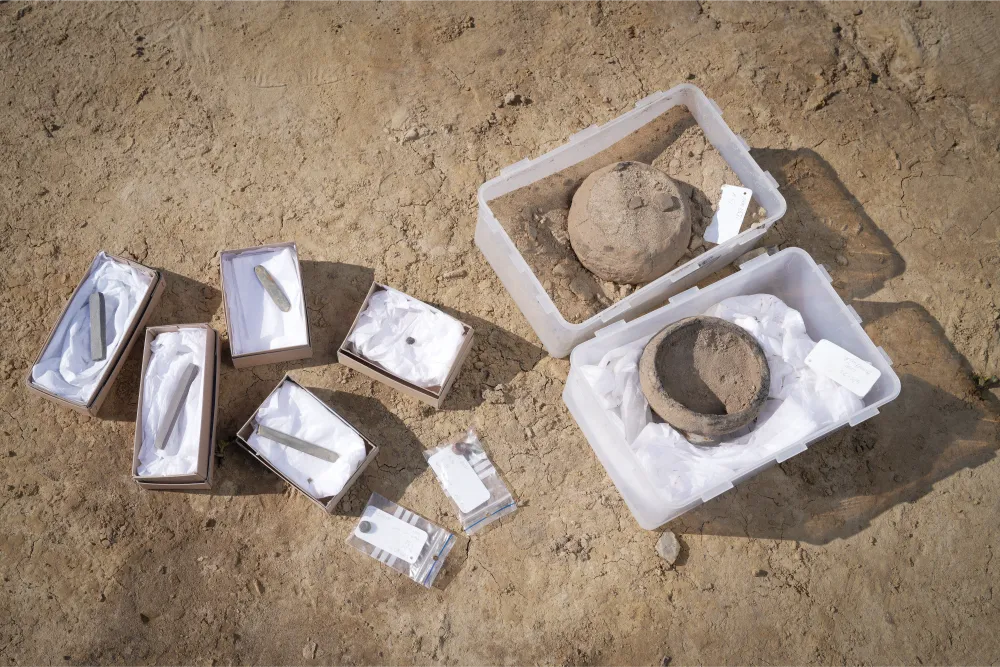 Udgravning Lisbjerg82