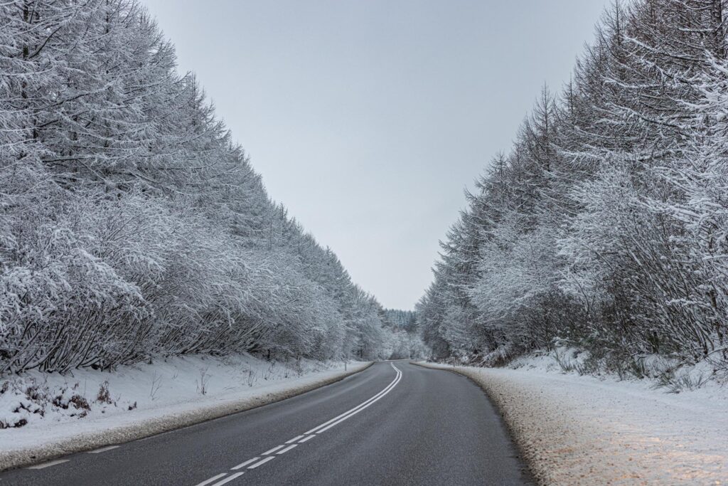 Dagens vejr: Frost og rimtåge fra morgen – sol senere på dagen